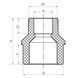 Муфта редукційна ЗВ 25x20 PPR Koer K0056.PRO 100/1200 (KP0066) KP0066 фото