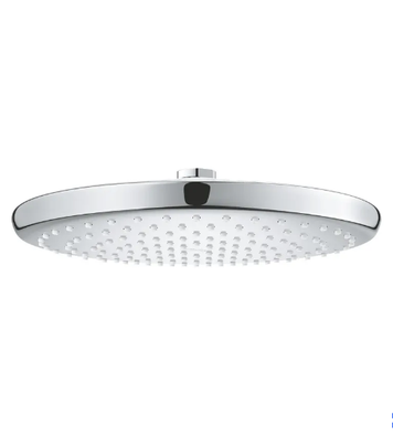 Верхній душ Grohe Tempesta 250 з WaterSaving (26666000) 26666000 фото