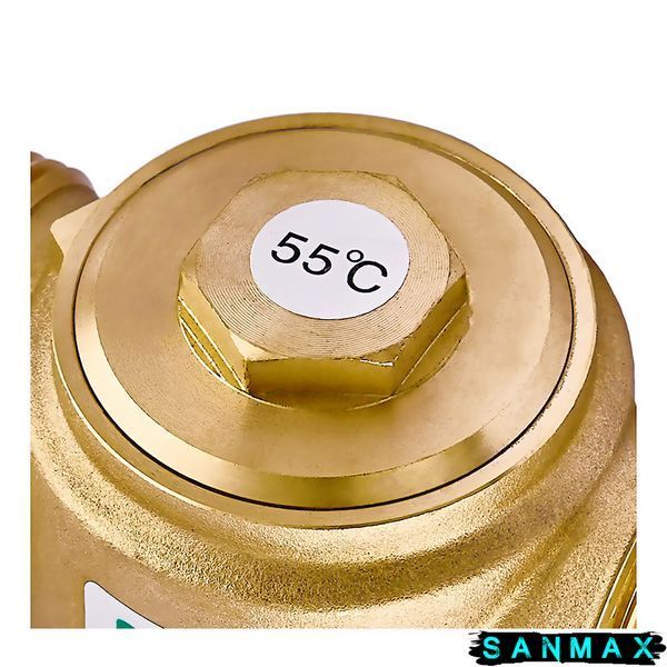 Клапан антиконденсаційний Roho 55 &deg;C R1255-125 - 1 1/4 (RO1024) RO1024 фото