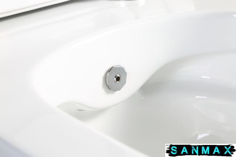 Унітаз-біде підвісний Mixxus Premium Ellipse-1301-R 500x365x350mm система змиву Rimless (MP6659) MP6659 фото