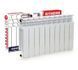 Радіатор біметалевий Bitherm 80/350 (BT0558) BT0558 фото 1